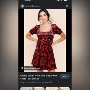 Velvet Floral Mini Dress